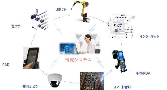 服务内容